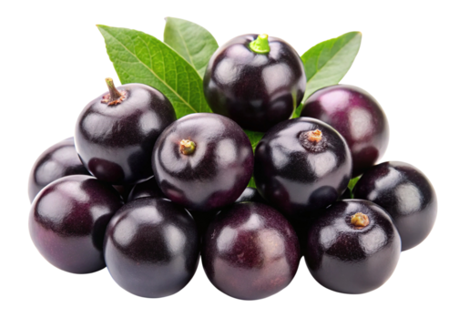 Fresh ripe jabuticaba fruits with green leaves, health food