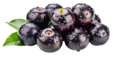 Fresh acai berries with water droplets and green leaves