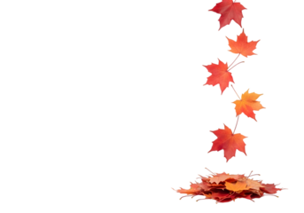 Autumn Maple Leaves Side Fall PNG – Vertical Falling Leaf Element for Seasonal Designs