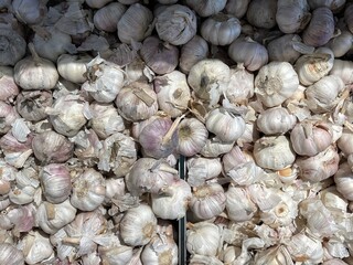 Top-down full-frame close-up of a large pile of fresh garlic bulbs, showing natural texture, papery skin, and organic produce quality for food and cooking themes.
