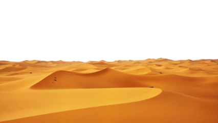 Golden desert dunes under a white sky, rich orange-brown sand forming flowing curves and shadows, a minimalist arid landscape full of texture and rhythm. transparent background.