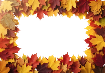 Thick Autumn Maple Leaves Border PNG – Bright Fall Foliage Frame for Seasonal Cards and Posters