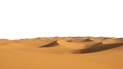 Golden desert dunes under a white sky, rich orange-brown sand forming flowing curves and shadows, a minimalist arid landscape full of texture and rhythm. transparent background.