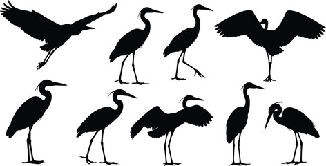 Silhouette collection of herons in various poses, standing, flying, wading birds, wildlife illustration set, nature design elements for decoration