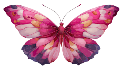 pink and Blue morpho butterfly insect with bright colorful wings isolated on a white background