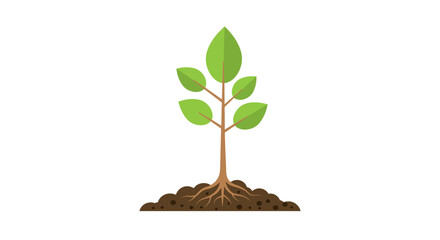 Young Tree Sapling with Roots Growing Upward Isolated on White Background american football
