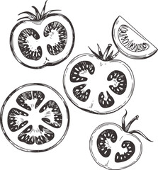 Black white sketch of sliced tomatoes vector