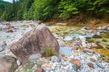 Tranquil riverbed with large boulders, forest edge, and colorful shallow water of Slizza River, south of Tarvisio, Italy