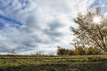 Autumn afternoon with the sun shining through the clouds and trees