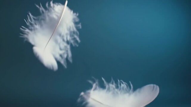 White feathers floating against blue background, symbolizing peace, tranquility and freedom, for design