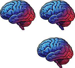 Blue–Red Human Brain Side View Vector Set