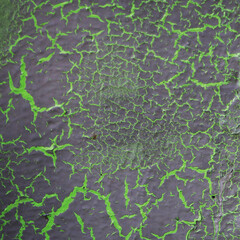 surface of a wall painted in green and gray color with texture of drying crack