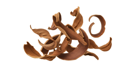 An intricate arrangement of dry, twisted brown bark shavings or plant peels, forming an abstract natural sculpture isolated on a white background