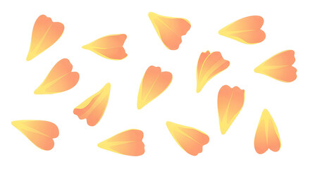 Fototapeta premium A collection of delicate orange and yellow flower petals scattered randomly on a clean white background