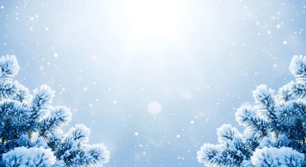 A serene winter scene with snow-covered fir branches and falling snowflakes.