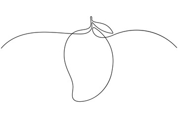 Mango fruit continuous one line drawing on white background minimalist fresh tropical outline vector illustration