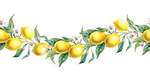Lemon branch with leaves and flowers on a white background, seamless border. Botanical illustration, hand-painted in watercolor. Tropical citrus fruits, juicy bright fruits for decorating postcards