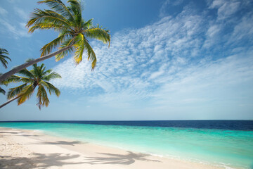 Tropical beach and palm trees, The Maldives, Indian Ocean, Asia