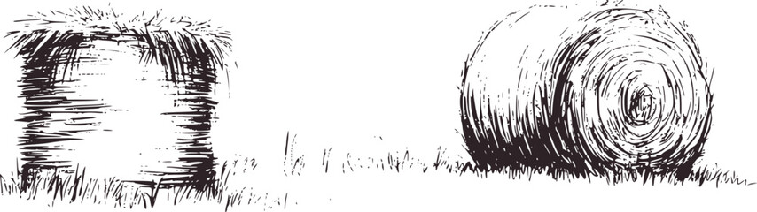 Hay bales grass sketch black