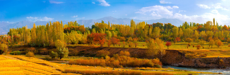 Autumn nature, panoramic view of colorful trees against blue sky. Beautiful autumn landscape with...