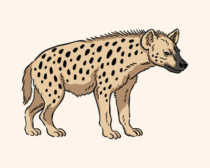 Hyena Illustration, Spotted Hyena Line Art Vector Wildlife Animal Art