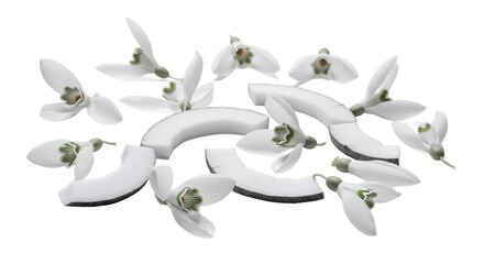 Delicate snowdrop flowers in pristine white bloom alongside fresh coconut pieces, creating a harmonious and refreshing natural composition with a hint of exotic charm