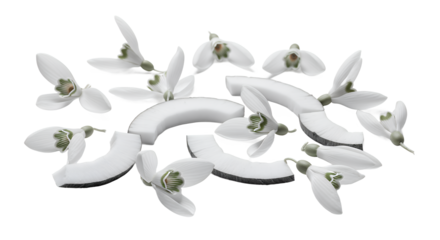 Delicate snowdrop flowers in pristine white bloom alongside fresh coconut pieces, creating a harmonious and refreshing natural composition with a hint of exotic charm