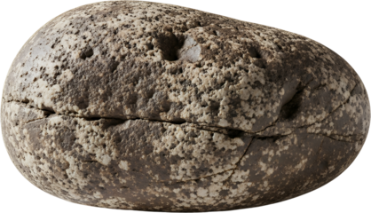 A large smooth dark grey river stone with pitted texture and a prominent crack down its center Rock Pebble Nature Geology