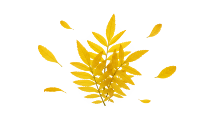 Vibrant Yellow Leaves Falling in Autumn Breeze A Serene Nature Scene