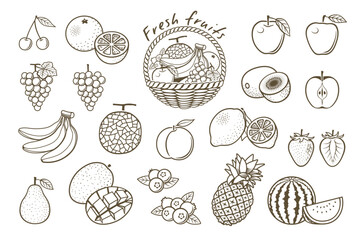 果物　フルーツ　線画イラスト　アイコンセット