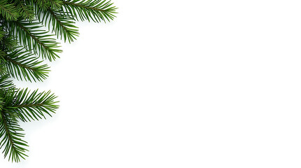 Realistic Green Fir Tree Branches on White Background