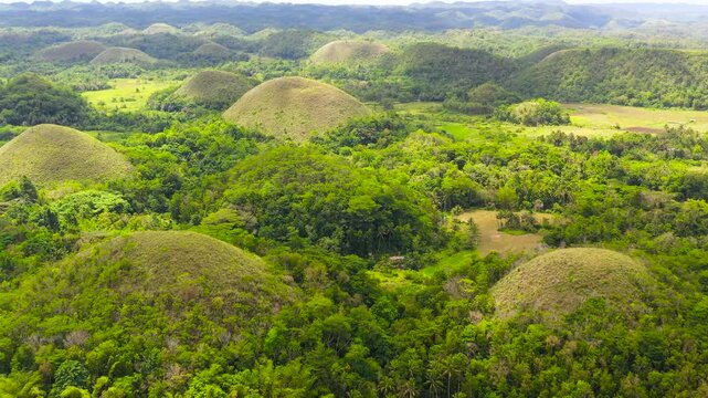Aerial view of Chocolate hills in Bohol island,Philippines. Hills covered with grass and vegetation.