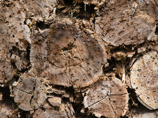 Bulletproof wooden logs with traces of bullet holes in the shooting range