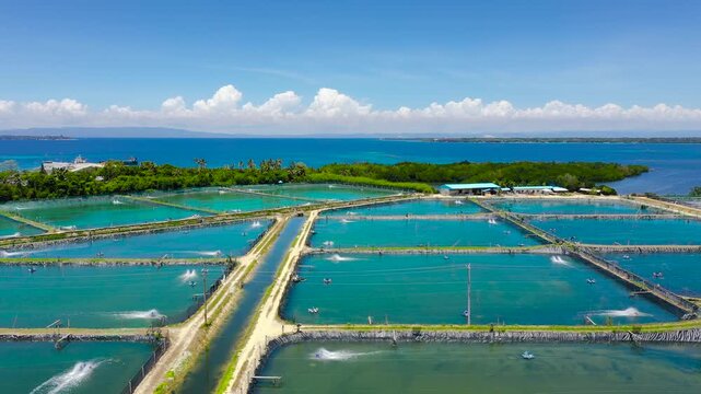 Shrimp farm with ponds and aerator pump, top view. Bohol, Philippines. The growing aquaculture business continuously threatening the nearby wetlands.