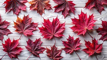 red maple leaves