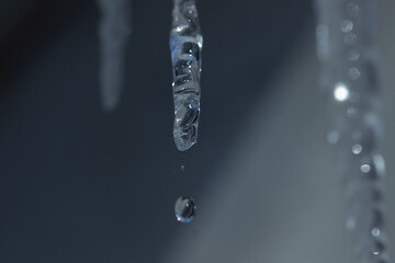 the icicle melts, a drop falls