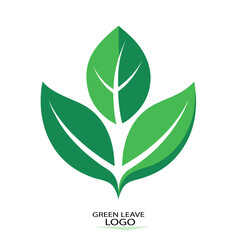 green leave  logo-4