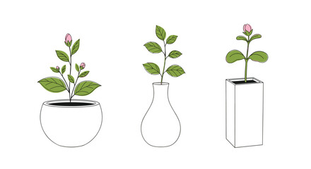 Three simple illustrations of plants growing in pots and vases against a white background.