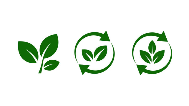 Green eco and recycle icons with plant leaves for nature, sustainability, organic growth, and environmental protection concept.