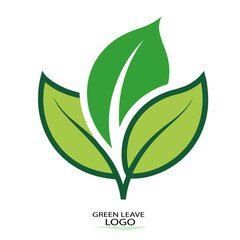 green leave  logo-6