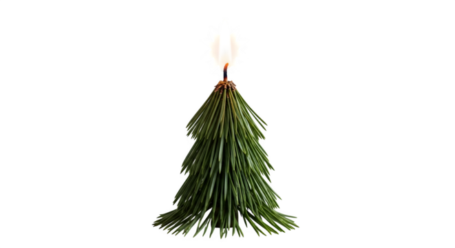 A small christmas tree candle burning brightly isolated on transparent background, symbolizing the holiday season and festive celebrations
