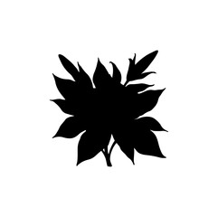 black and white flower