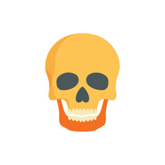 Obraz premium Flat Design Skull Illustration for Halloween, Medical, Education
