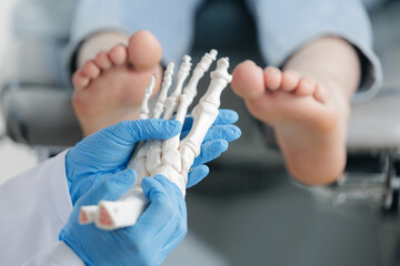 Podiatrist examining foot model with patient in background