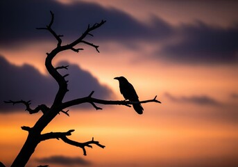 Stark silhouette of a black crow on a gnarled branch at dramatic sunset twilight