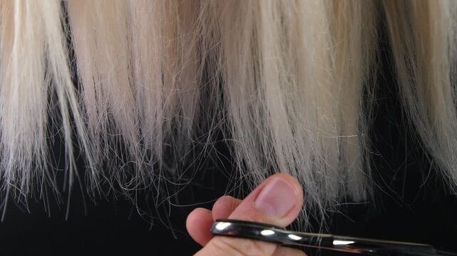 Trimming split ends of unkempt blonde hair with scissors on a black background