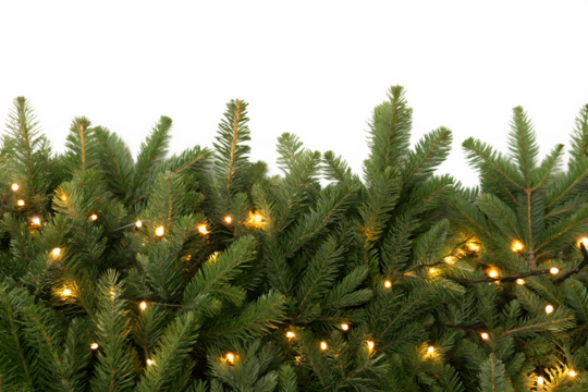 Lush Christmas fir border with sparkling festive illumination