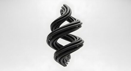 A dark, abstract, sculptural object with multiple intertwined strands forming a double helix shape against a clean white background.