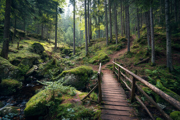 A wooden bridge crosses a moss covered forest stream amidst tall trees
