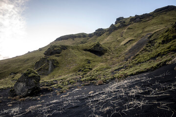Landscape of volcanic black sand dunes on Reynisfjara beach, Iceland